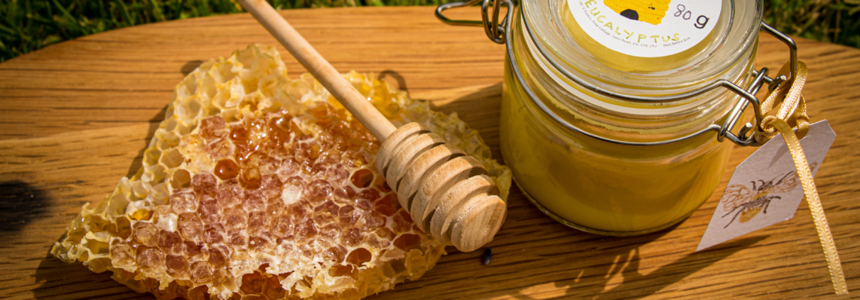 Eucalyptus Beeswax Polish