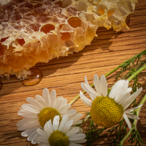 Gift Boxes