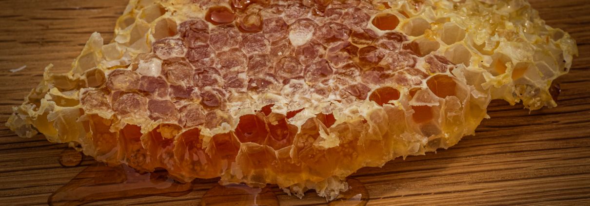 Bee related honey gifts